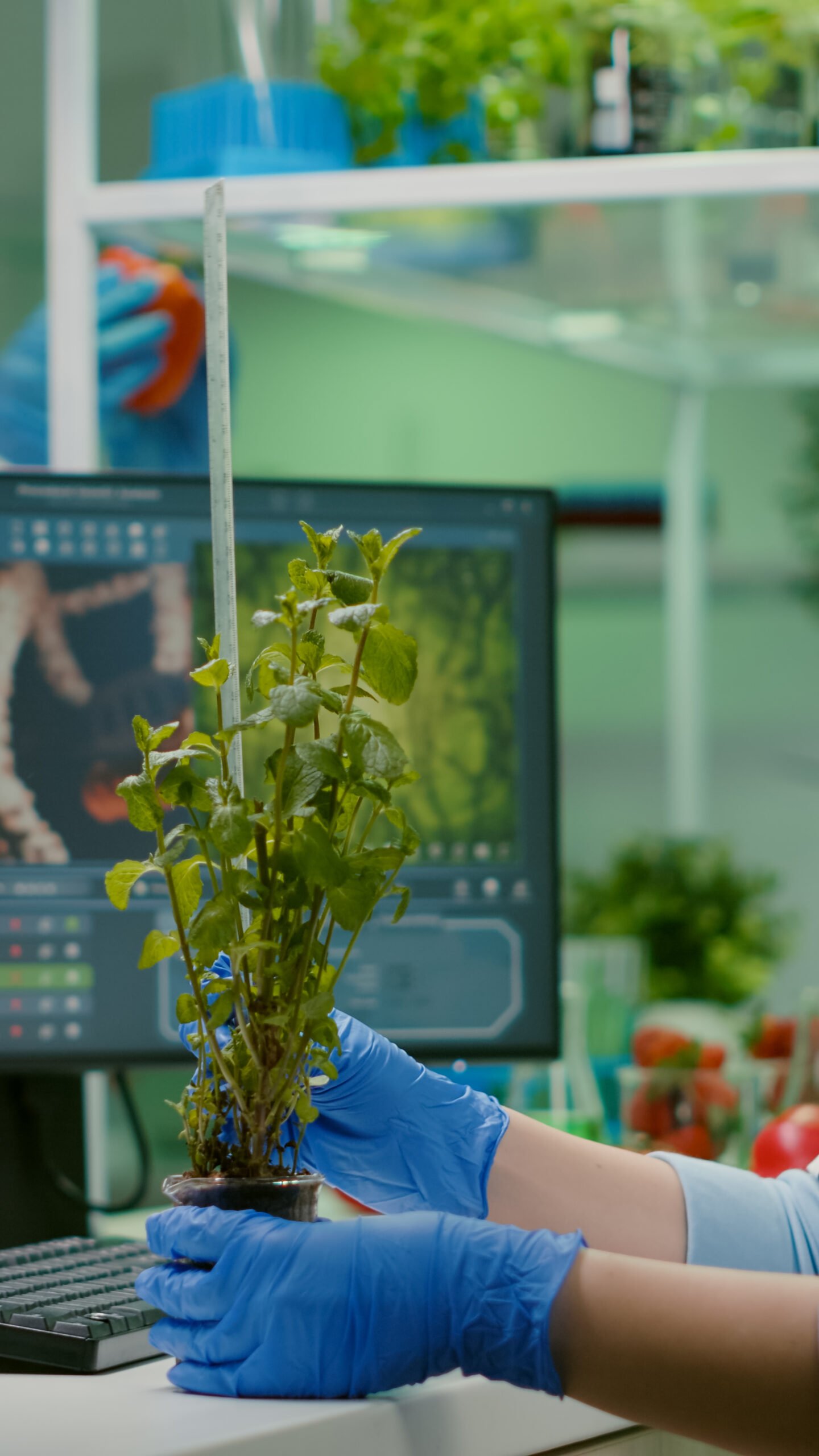 Agricultural Research Laboratory
